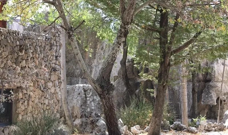 Faitroun 3400 sqm land for sale with building, prime location ref – Faitroun, Keserwan