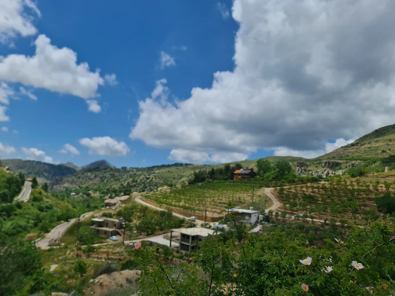 Land for sale in tannourine – batroun – Tannourine Et Tahta, Batroun