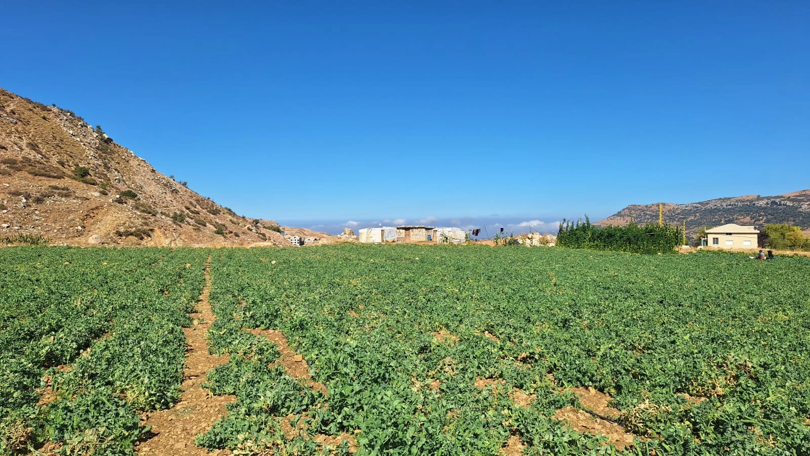 Land for sale in bekfaya – el maten