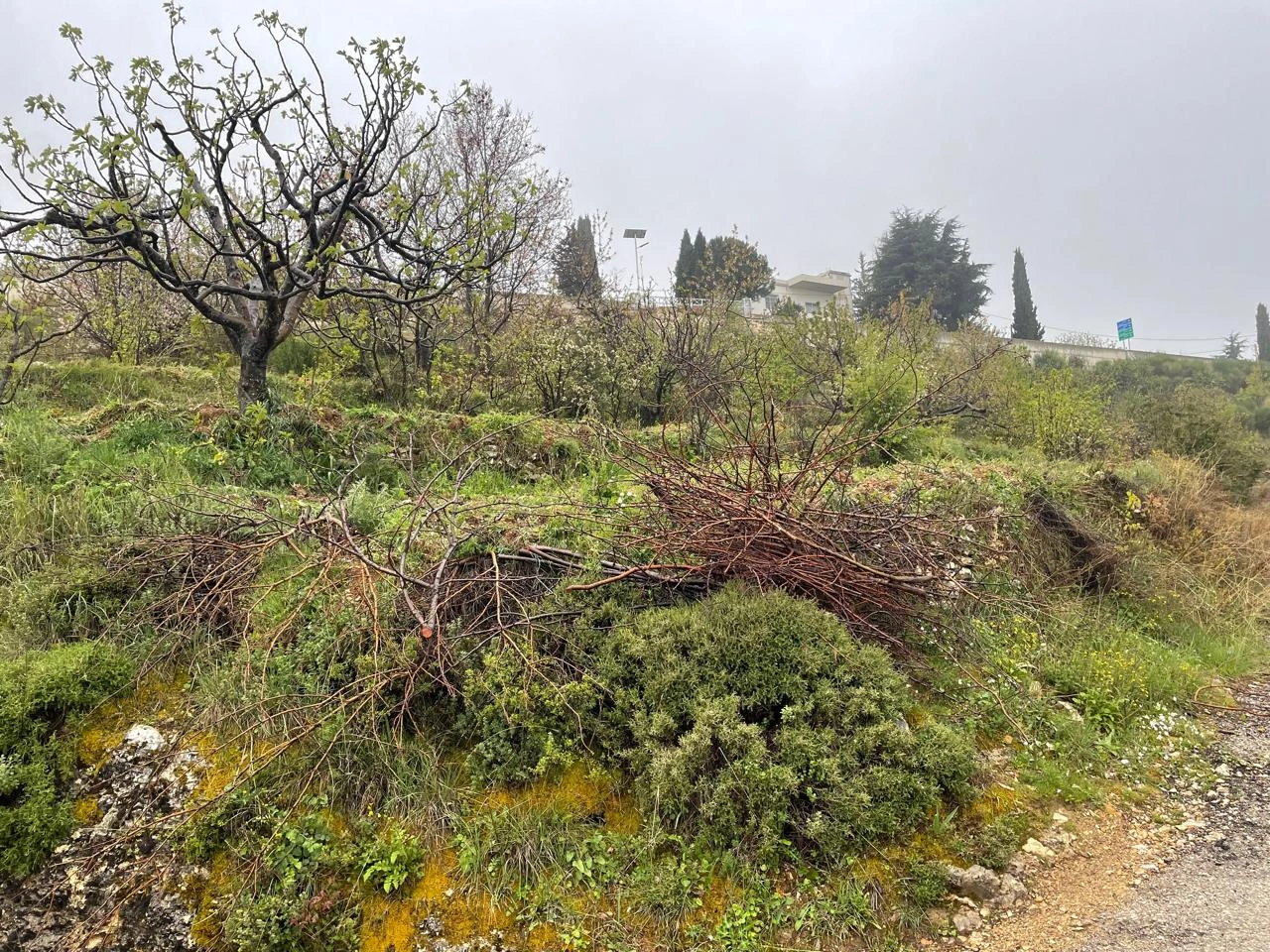 Land for sale in hadtoun – batroun – Hadtoun, Batroun