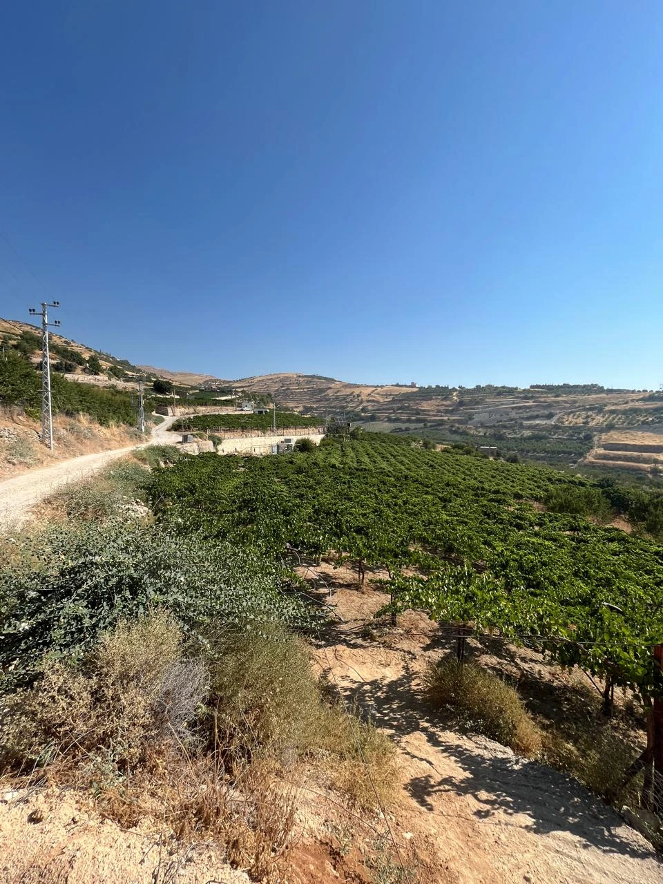 Maalaka aradi land 2176 sqm for sale open view – Zahleh El Maallaqa, Zahleh