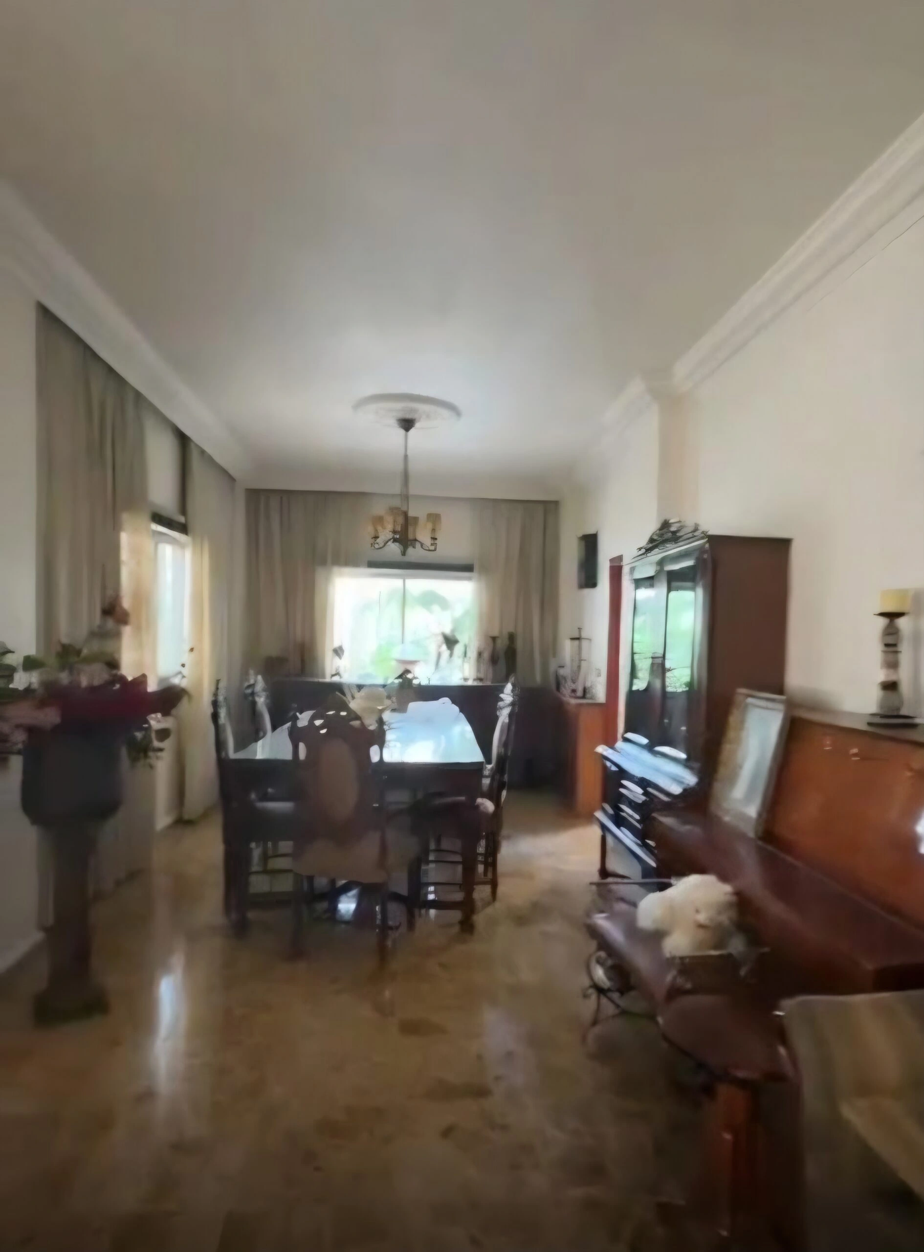 Jal el dib fully furnished apartment 280 sqm for rent – Jal el Dib, Matn