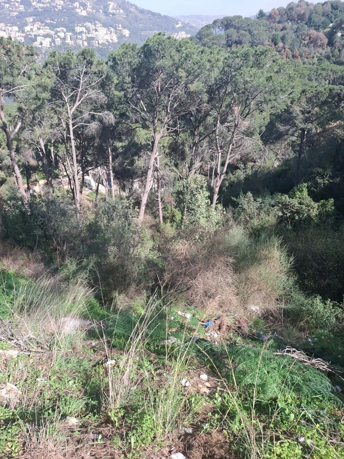 Land for sale in arraya – baabda – Arraya, Baabda