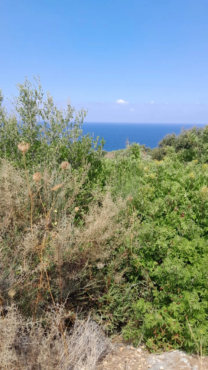 Land for sale in berbara – jbeil – Berbara, Jbeil