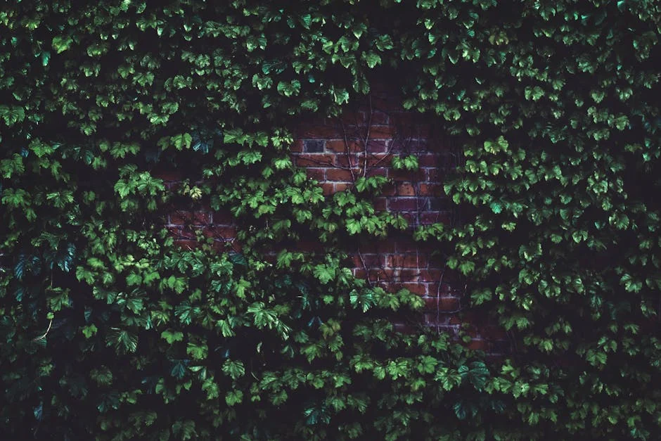 Myths vs Facts: The Impact of Biophilic Strategies in Architecture on Measurable Outcomes in Germany